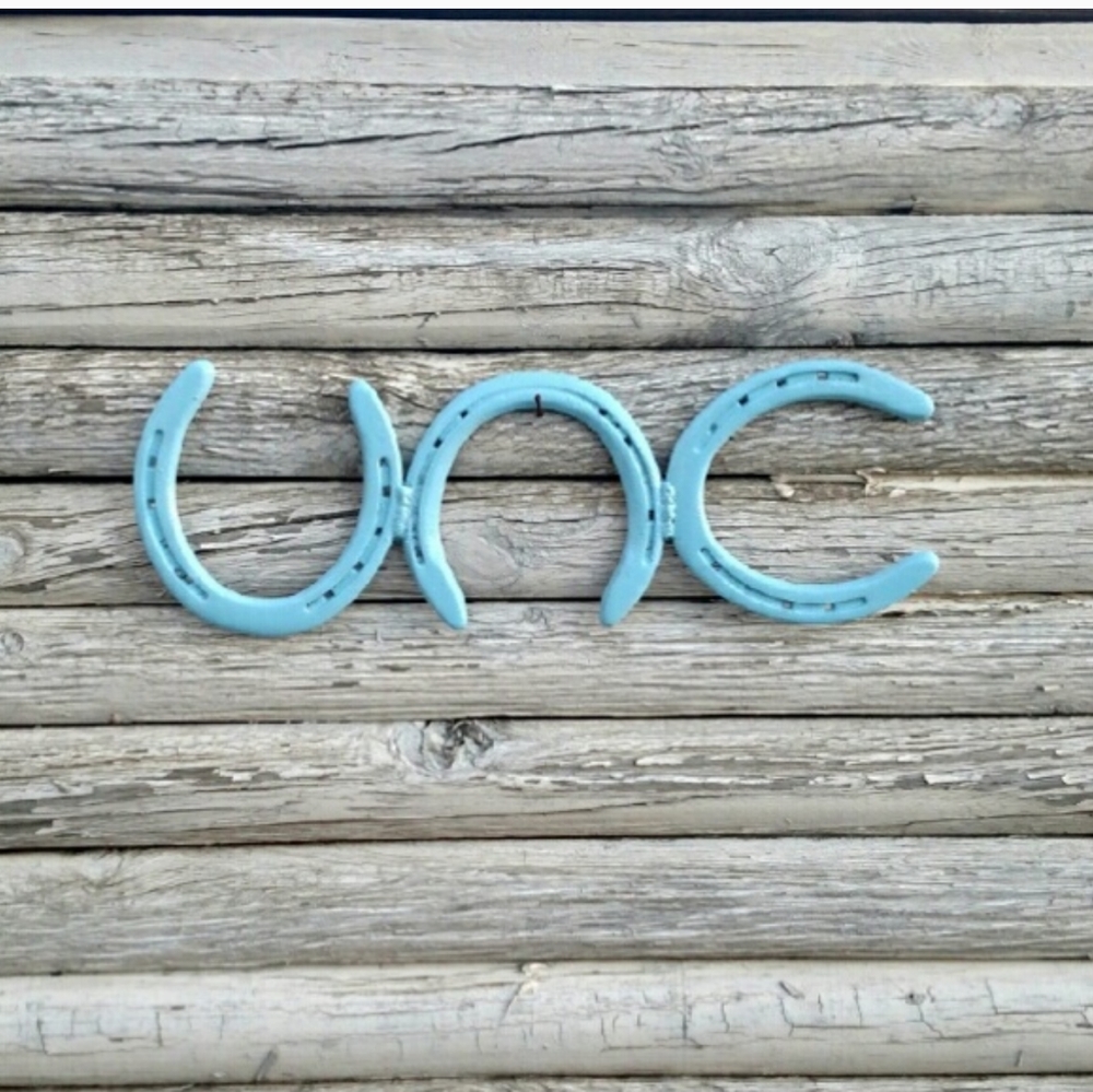 UNC horseshoe  Wall sign